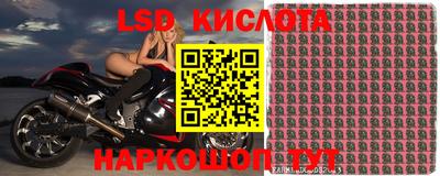 PSILOCYBIN Кунгур