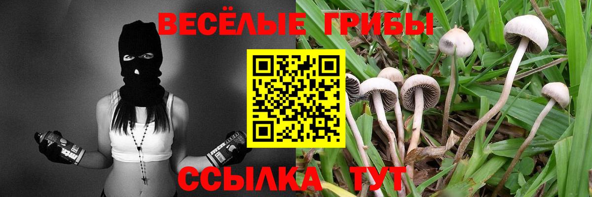 Псилоцибиновые грибы Magic Shrooms  Галлюциногенные грибы MAGIC MUSHROOMS  Кемерово  Вход с VPN 